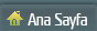Ana Sayfa