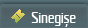 Sinegi�e