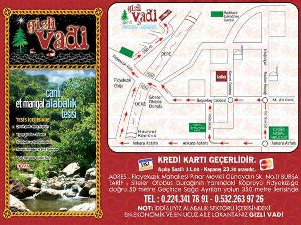 Gizli Vadi Alabalık - Yıldırım